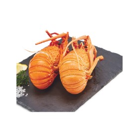 Thawed+Cooked+WA+Rock+Lobster