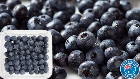 Australian-Blueberries-170g-Punnet on sale