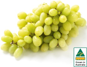 Australian+White+Seedless+Grapes