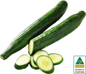 Australian-Continental-Cucumber on sale