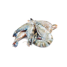 Thawed+Extra+Large+Australian+Green+Tiger+Prawns