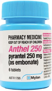 Anthel+250mg+6+Tablets