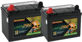 Supercharge+Lawnpro+Batteries