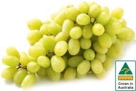Australian+White+Seedless+Grapes