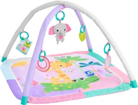 Bright-Starts-Wild-Wiggles-Sweet-Safari-FoldAway-Activity-Gym on sale