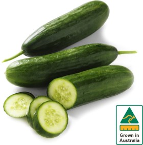 Australian-Lebanese-Cucumber on sale