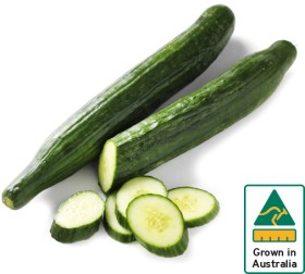 Australian-Continental-Cucumber on sale