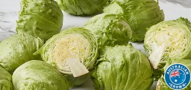 Australian-Iceberg-Lettuce on sale