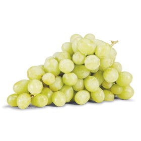 Australian+White+Seedless+Grapes