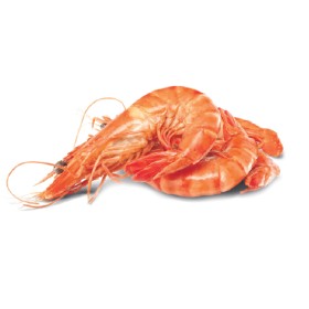Thawed-Large-Australian-Cooked-Tiger-Prawns on sale