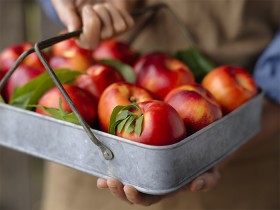 Australian-Yellow-or-White-Nectarines on sale