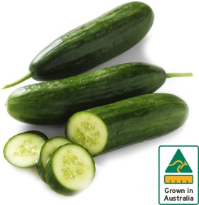 Australian-Lebanese-Cucumber on sale