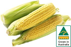 Australian-Sweet-Corn-500g-Pack on sale