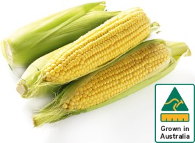 Australian-Sweet-Corn-500g-Pack on sale