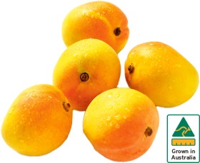 Australian+Mangoes