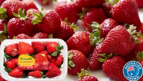 Australian-Premium-Strawberries-350g-Punnet on sale