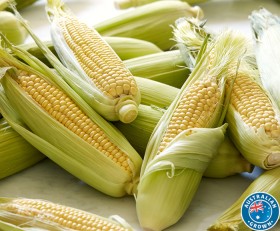 Australian+Loose+Sweet+Corn