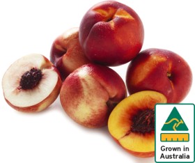 Australian+Yellow+or+White+Nectarines