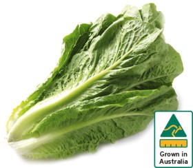 Australian-Cos-Lettuce-Twin-Pack on sale