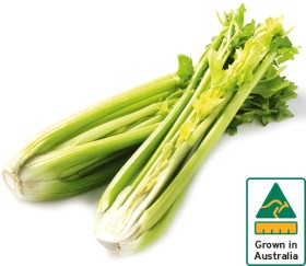 Australian-Celery-Bunch on sale