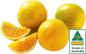 Australian+Valencia+Oranges+3kg+Bag