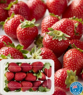Australian+Strawberries+250g+Punnet