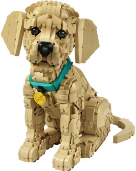 LEGO%26reg%3BGolden+Retriever+Puppy+11384%5E