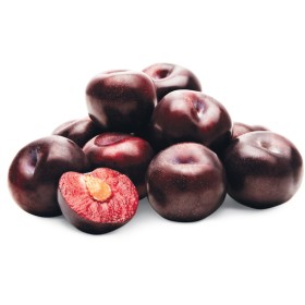 Australian+Croc+Egg%26trade%3B+Plums