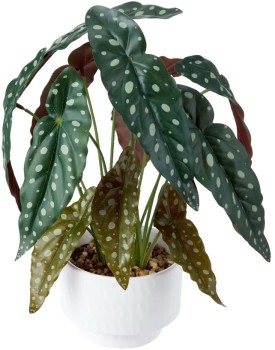 Artificial-Spotted-Plant-in-Pot on sale