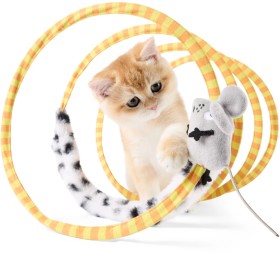 Cat-Toy-Spiral-Tunnel on sale