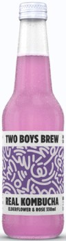 Two-Boys-Brew-Kombucha-330mL-Selected-Varieties on sale