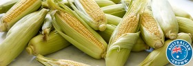 Australian+Loose+Sweet+Corn