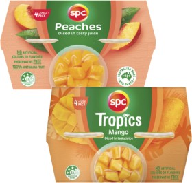 SPC-Fruit-Snack-Cup-4x120g on sale
