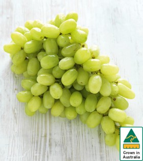Australian+White+Seedless+Grapes