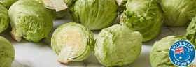 Australian-Iceberg-Lettuce on sale