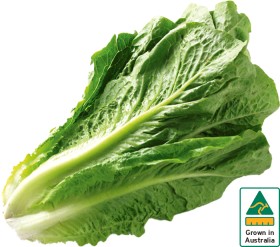 Australian-Cos-Lettuce-Twin-Pack on sale