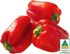 Australian+Red+Capsicum