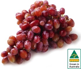 Australian+Red+Seedless+Grapes
