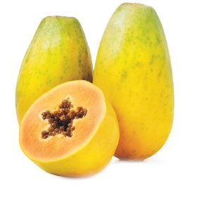 Australian-Red-Papaya on sale