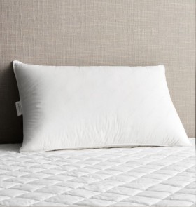Sheridan+Deluxe+Surround+F%26amp%3BD+Pillow