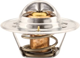 Tridon-Thermostat on sale