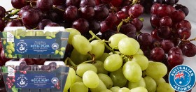 Coles+Grower%26%23039%3Bs+Selection+Black%2C+Red+or+White+Grapes+400g+Pack