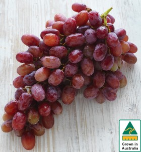 Australian+Red+Seedless+Grapes