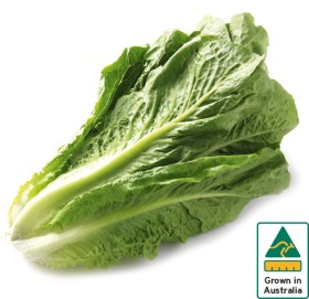Australian-Cos-Lettuce-Twin-Pack on sale