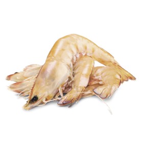 Thawed-Large-Australian-Green-Banana-Prawns on sale