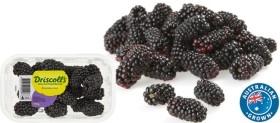 Australian-Blackberries-170g-Punnet on sale