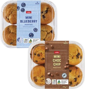 Coles+Muffins+9+Pack+315g