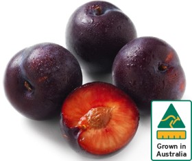 Australian+Plums