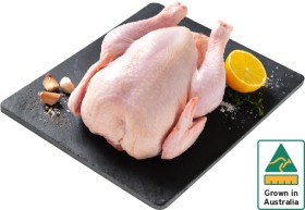Australian-Free-Range-Whole-Fresh-Chicken on sale
