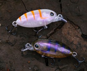 Samaki-Redic-Lures on sale